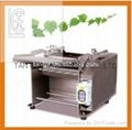 Auto. High Quality Easy-Operated Fish Skinner for Sale,fish processing machine
