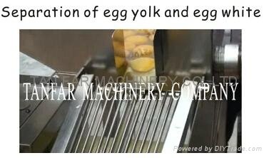 Egg Breaker(Egg white and Egg Yolk Separator) 5