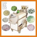 Muti-Functional Vegetable Cutting Machine