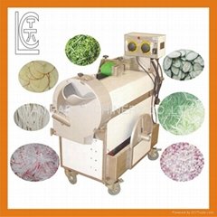 Muti-Functional Vegetable Cutting Machine