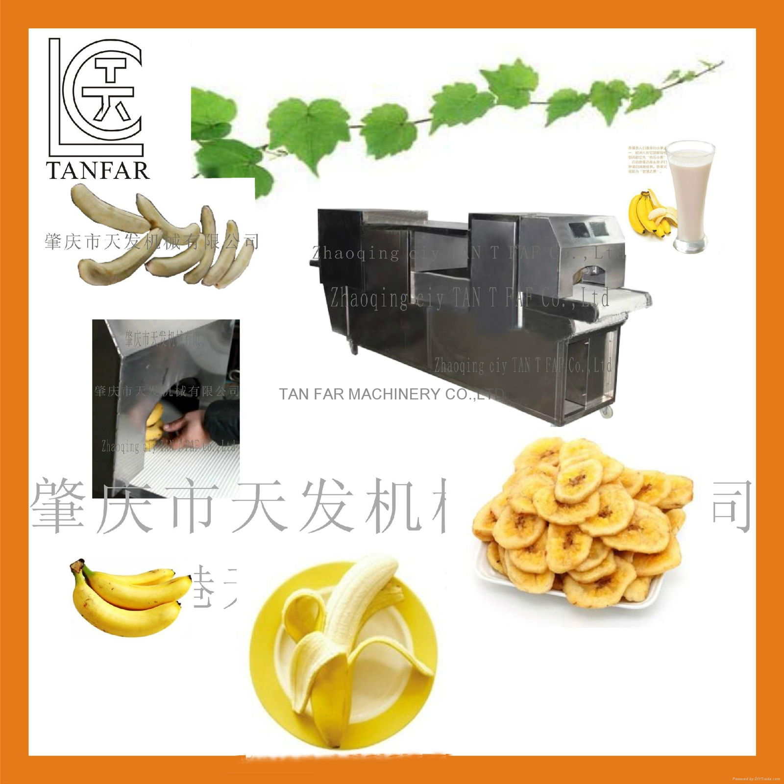 TANFAR Banana Peeling Machine 2