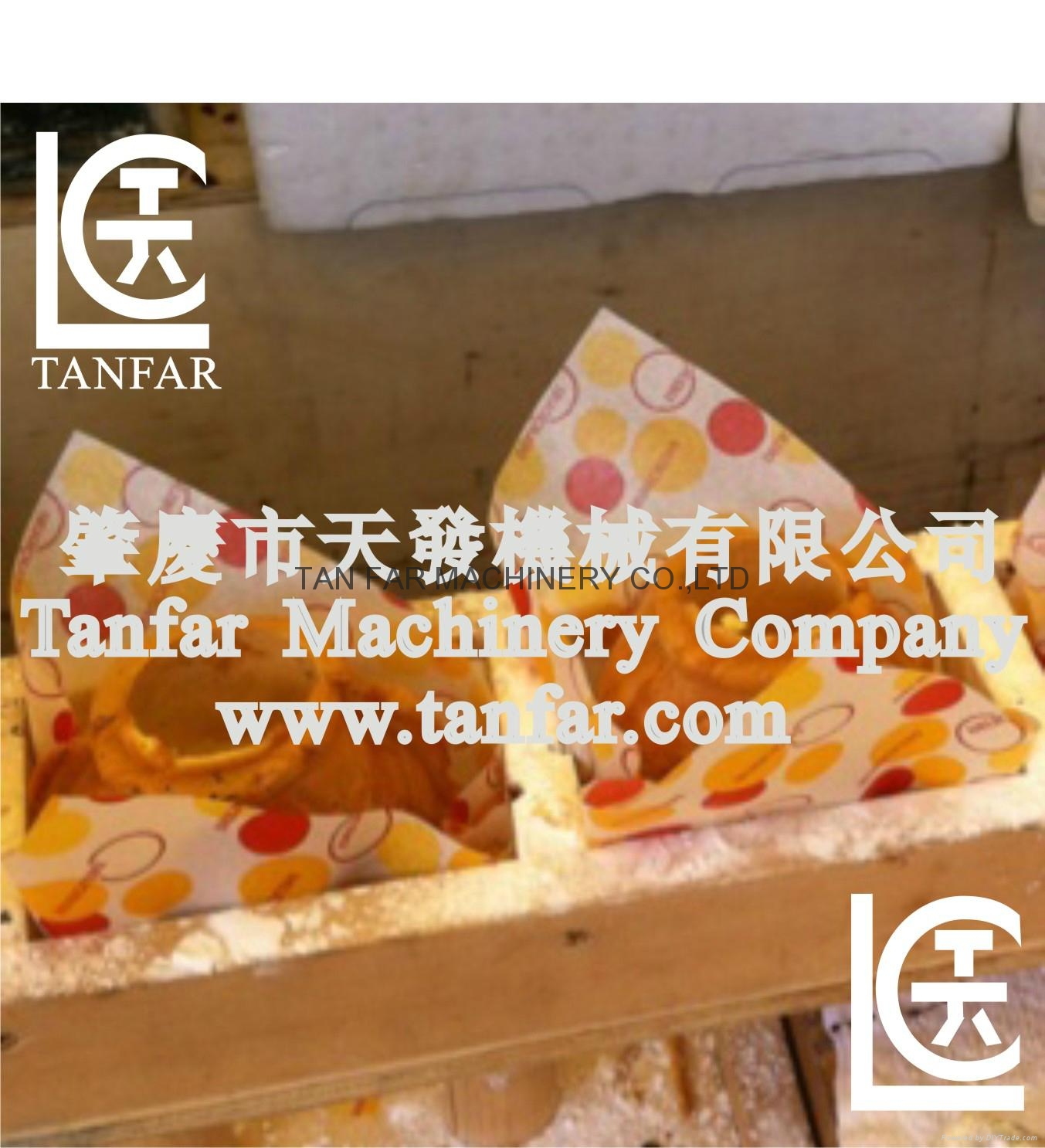 TANFAR Eggette/Egg cake oven 5