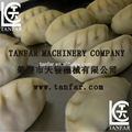 TF-30 Japanese style Dumpling machine 2