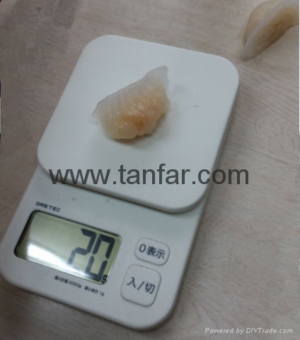 shrimp dumpling weight