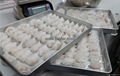 shrimp dumpling machine