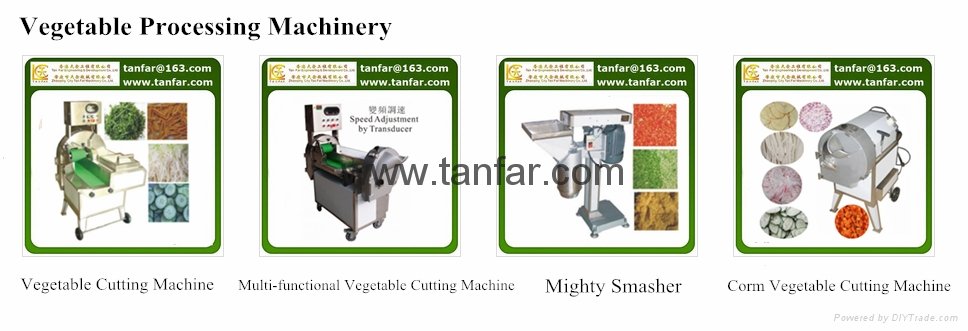 TF-305 Vegetable Cutting Machine 3