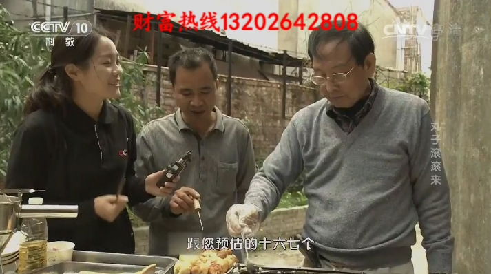 全自动滚圆章鱼烧机 央视CCTV10 丸子滚滚来 李炽昌 5