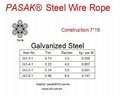 PASAK SUS304 Wire Rope 5