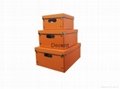 Orange Fancy Storage Box Set of 3 W/ Window 3