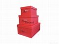 Rose Red Foldable Box Set of 3