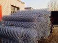 high quality used cheap PVC coated & galvanized chain link fence/fencing for sal 5