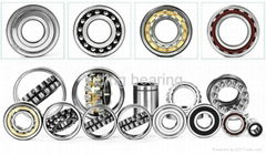 Zaozhuang Yiding Bearing Import & Export Co., Ltd.