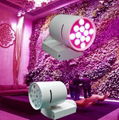 LED植物生长灯LED轨道灯植物墙灯 2