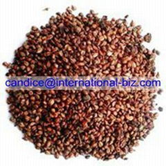 Grape Seed Extract