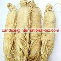 Ginseng Extract