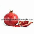 Pomegranate Extract