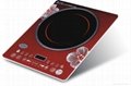 Induction cooker _A89