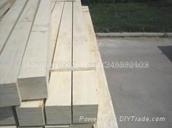 poplar LVL plywood