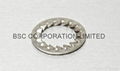 Stainless steel  Washers 3