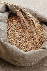 Soft milling wheat