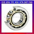 Double Row Angular Contact Ball Bearing