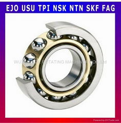 Double Row Angular Contact Ball Bearing