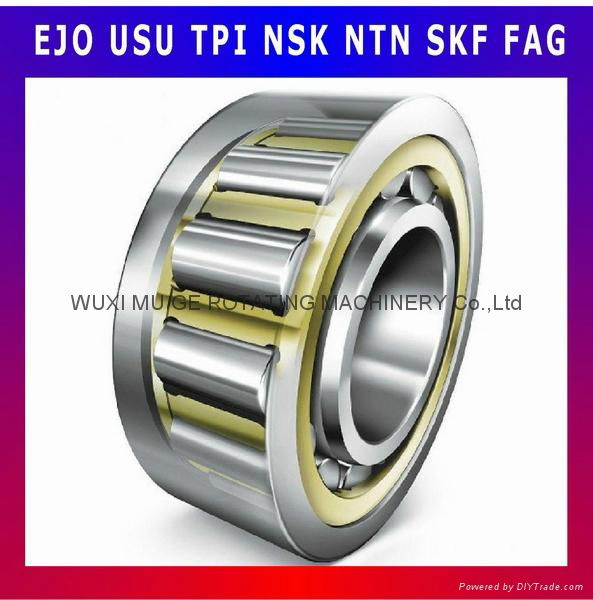 Single-Row Cylindrical Roller Bearing