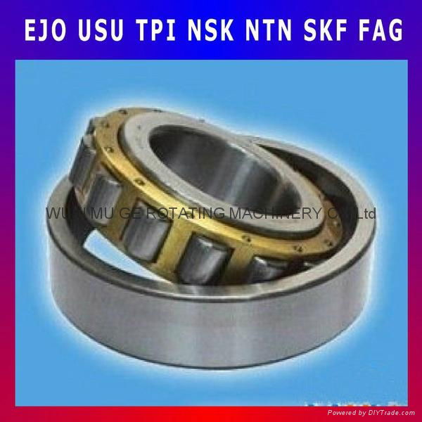 Single-Row Cylindrical Roller Bearing 2