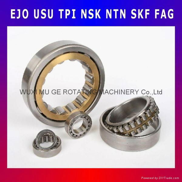 Single-Row Cylindrical Roller Bearing 2