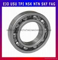 Deep Groove Ball Bearing 1