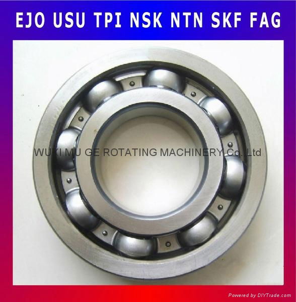 Deep Groove Ball Bearing 5