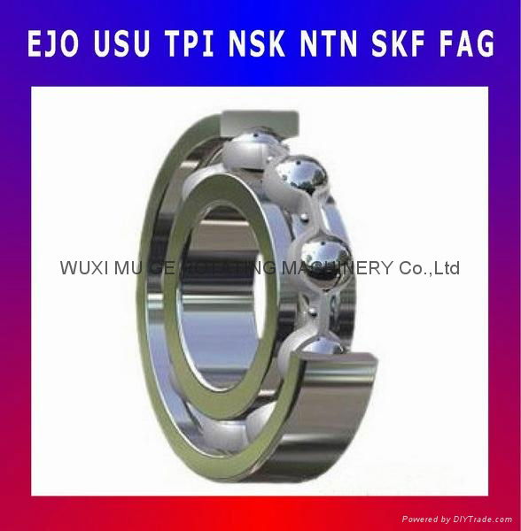 Self-Aligning Roller Bearing 5