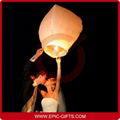 Wish Lanterns Sky Lanterns Flying Lanterns 2