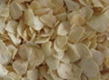 dehydrated garlic flake 1