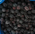 速冻黑莓 1