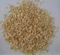 dried onion 1