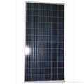 300W多晶硅太陽能電池板 2