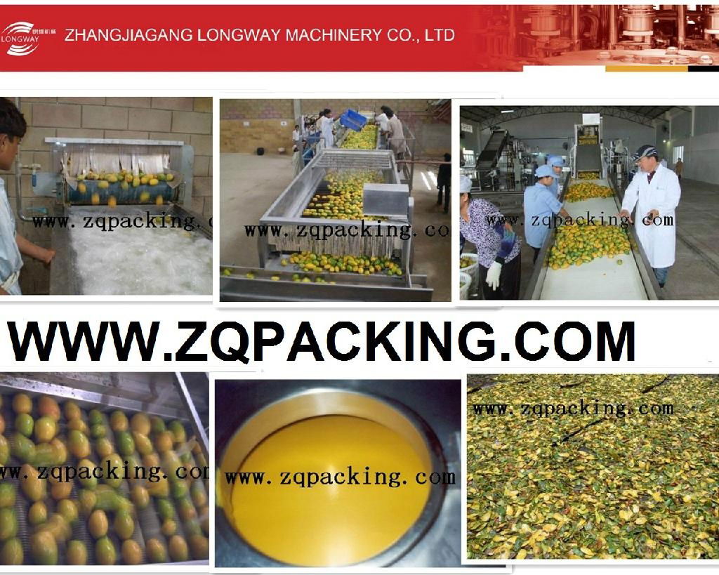 10000-12000BPH Automatic bottle fruit juice filling machine 2