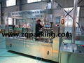 DCGF24-24-8 Automatic Carbonated Liquid Filling Bottle Machine 2