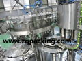 DCGF40-40-12 Automatic Carboonated Soft Drink 3 in 1 Filling Machine
