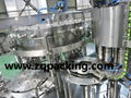 gas beverage filling/carbonated drink filling machine 3