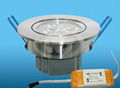 LED Down Light