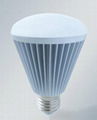 E27 LED Bulb 5