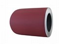 Color Coated Steel Coils PPGI for Roofing Building Supply any RAL Color 2