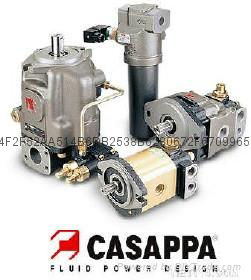 重慶casappa齒輪泵 5