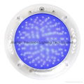 Newest full resin filled transparent wall mounted LED swimming pool light 1