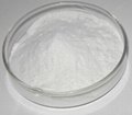 Collagen Powder 1