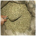 Washed arabica coffee bean 1