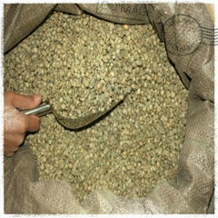 Washed arabica coffee bean