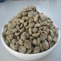 Washed arabica coffee bean 5